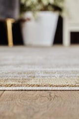 Radiant Edges Bordered Rug - Amber - M542G